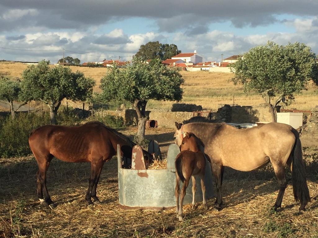 Abetarda Cc Βίλα São Marcos da Ataboeira Εξωτερικό φωτογραφία