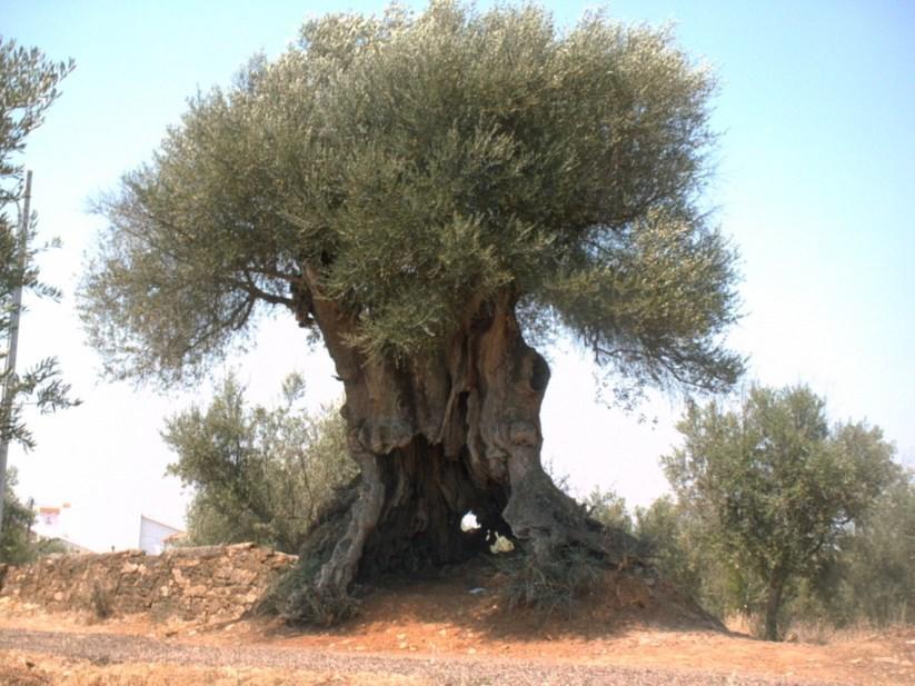 Abetarda Cc Βίλα São Marcos da Ataboeira Εξωτερικό φωτογραφία