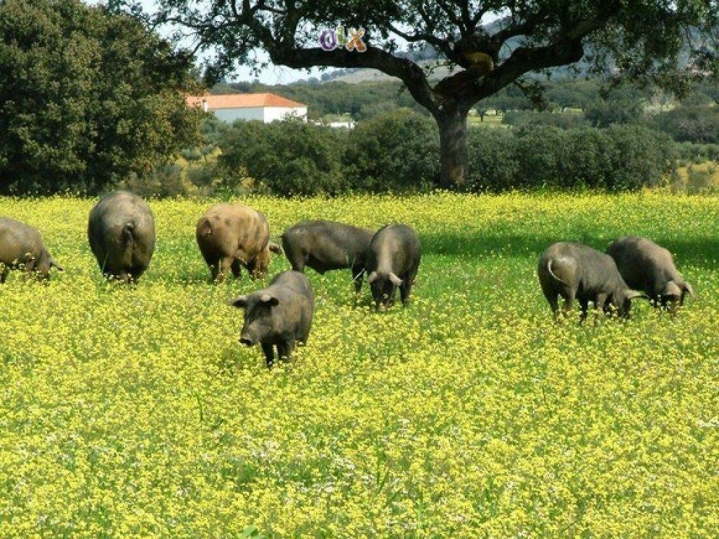 Abetarda Cc Βίλα São Marcos da Ataboeira Εξωτερικό φωτογραφία